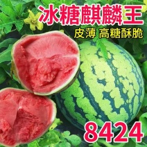 8424西瓜大量上市，货源充足，产地直发欢迎联系
