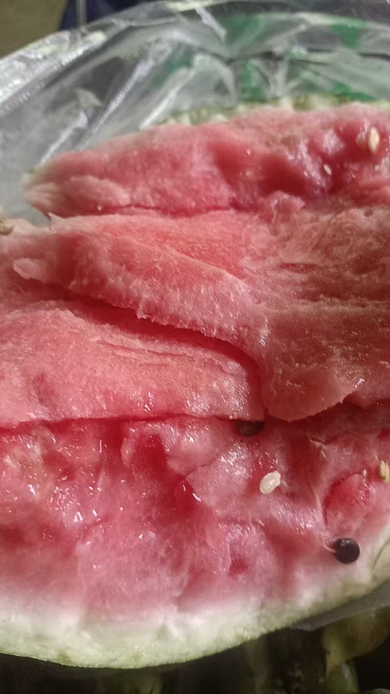 浙江精品8424西瓜皮薄肉厚口感甘甜欢迎咨询1