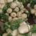 浙江台州【玉菇甜瓜】对接电商市场商超等各类客户1