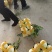 浙江台州【玉菇甜瓜】对接电商市场商超等各类客户1