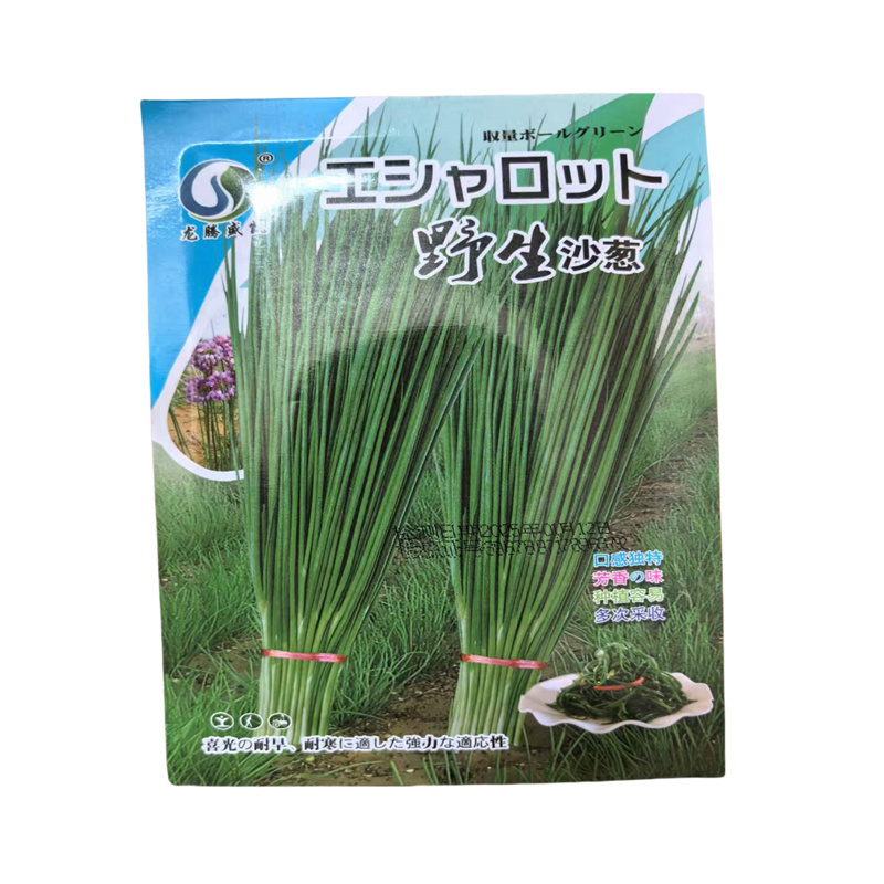 野生沙葱种子小香葱种子蒙古春秋季播