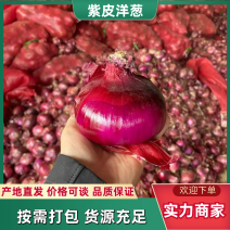 精品洋葱大量现货，电商市场专用，可视频看货代发全国