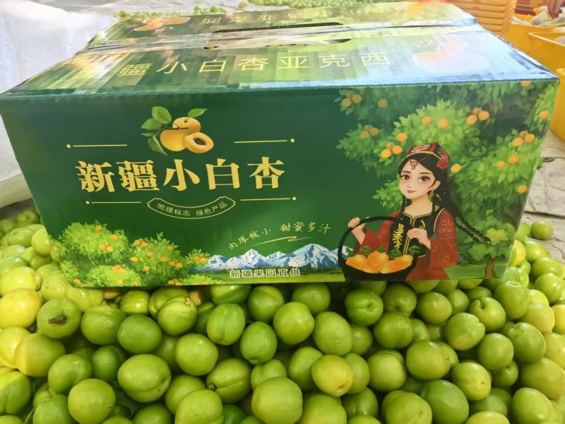 新疆小白杏一件代发产地直发一手货源对接各大电商平台