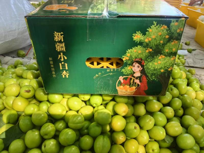 新疆小白杏一件代发产地直发一手货源对接各大电商平台