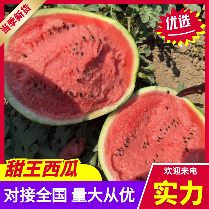 【甜王西瓜】陕西甜王西瓜保证品质全国供货欢迎咨询