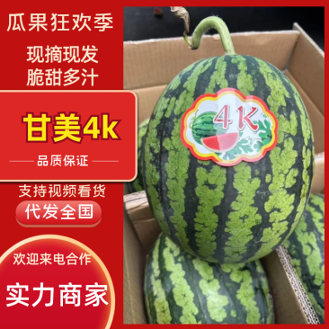 陕西西瓜甘美4K西瓜产地直发提供一条龙服务包熟包甜