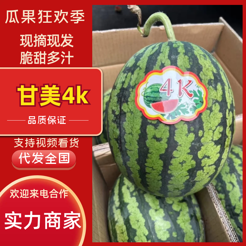 陕西西瓜甘美4K西瓜产地直发提供一条龙服务包熟包甜