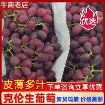 巨盛红提克伦生红提大量上市中质量保证产地直发