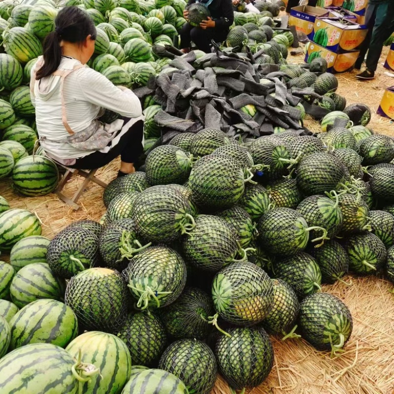 【山西麒麟美都无西瓜】，全国无死角代收代卖，对接批发商超