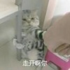 刘成的一亩田店铺