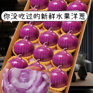 开封洋葱/紫皮洋葱/大红洋葱/二红洋葱/红皮洋葱