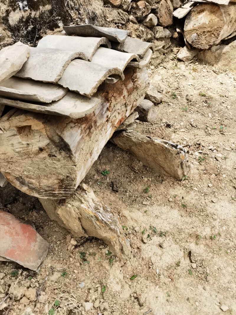 精选蜂蜜武都区土蜂蜜纯正原生态香甜浓郁长期供货对接商超市场