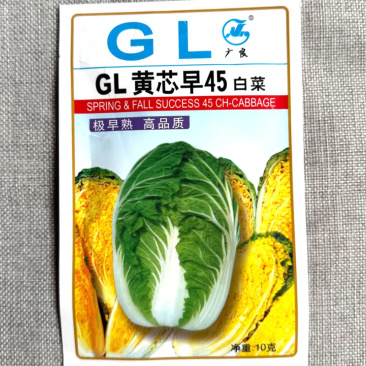 黄心大白菜种子抗病结球紧实黄芯结球大白菜种子
