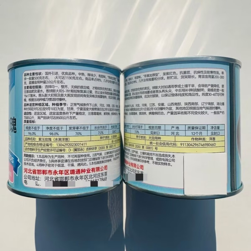 紫玉水果洋葱种子紫皮洋葱种子辣味少有甜味耐寒