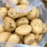 黄心土豆湖北土豆质量好价格低品质保障对接电商市场