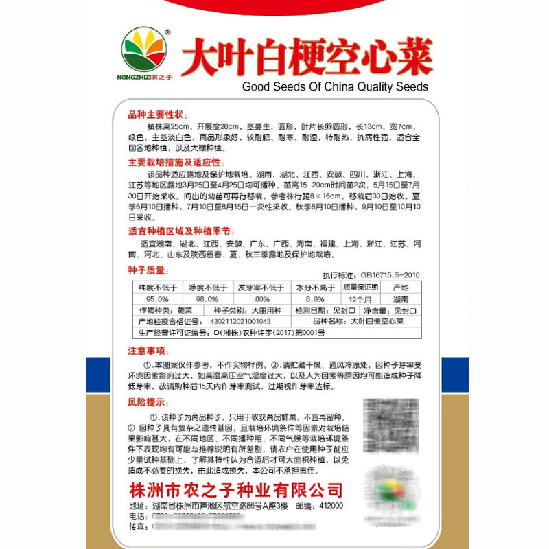 大叶白梗空心菜种子耐高温耐湿基地品种多茬采收