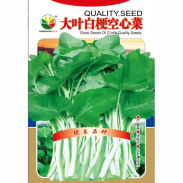 大叶白梗空心菜种子耐高温耐湿基地品种多茬采收