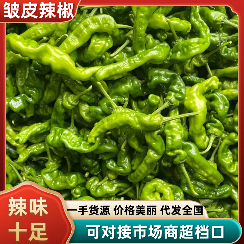 安徽辣椒/小邹皮辣椒，大量上货，欢迎电话联系洽谈业务