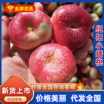 纽扣小蟠桃5月底上市，有需要的老板通过一亩田和我联系
