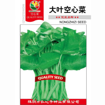 大叶空心菜种子空心绿杆耐高温夏耐寒抗热水培易种蔬菜种子