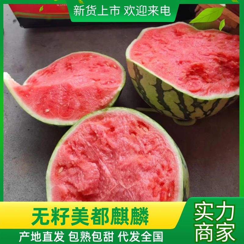 湖北黑皮无籽西瓜，8424西瓜湖北西瓜口感甜个头大