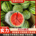 (实力)湖北8424西瓜大量现货供应！一手货源产地直供量