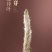 赤雪岩白毫银针