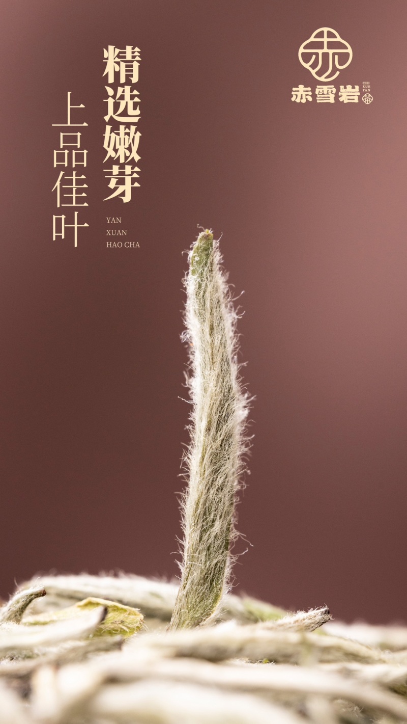 赤雪岩白毫银针