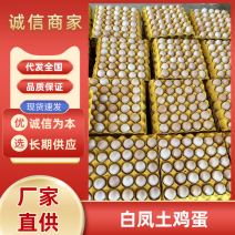 农家白凤土鸡蛋散养粉壳蛋壳厚蛋香蛋优价美