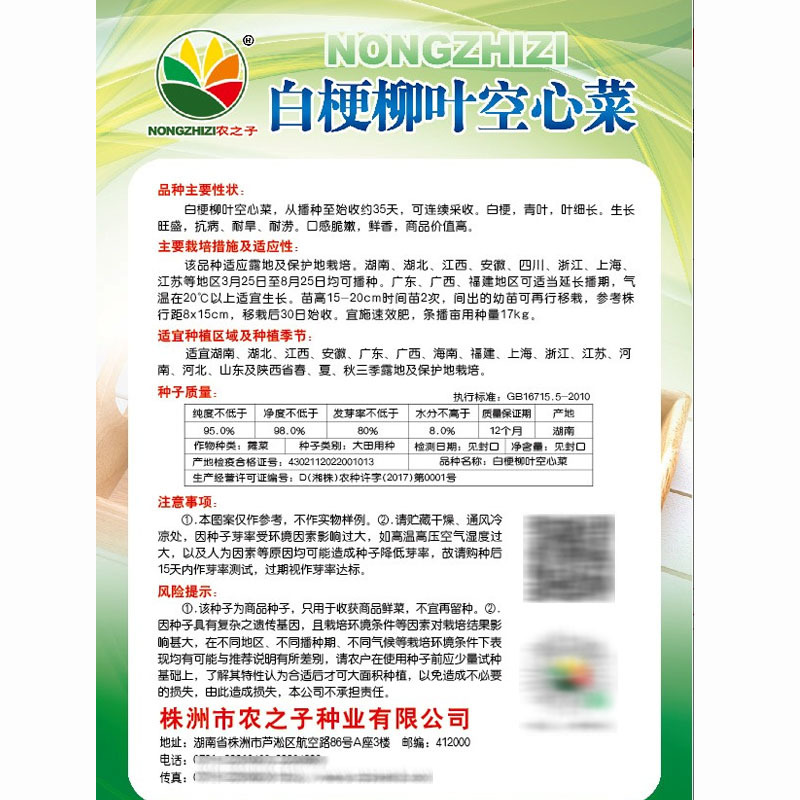 白梗柳叶空心菜种子白骨通心菜南北方种植大田基地