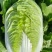 精选白菜黄心白菜大白菜价格实惠全国发货欢迎联系