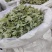 甘肃正宗淫羊藿卖相好常年有货各种规格现场看货品质保证