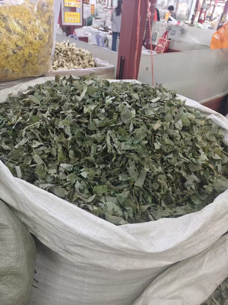 甘肃正宗淫羊藿卖相好常年有货各种规格现场看货品质保证
