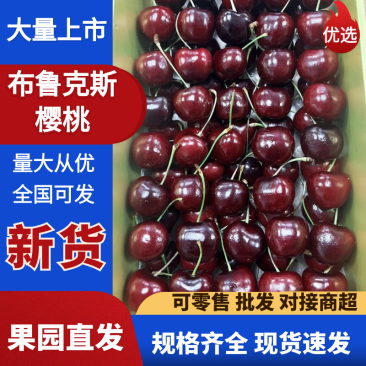 山西樱桃/布鲁克斯/美早樱桃/运城樱桃/全国发货