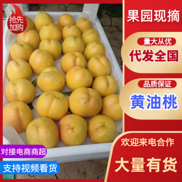 精品黄油桃