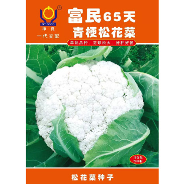 富民65天青梗松花菜种子2000粒花球松大耐热耐湿