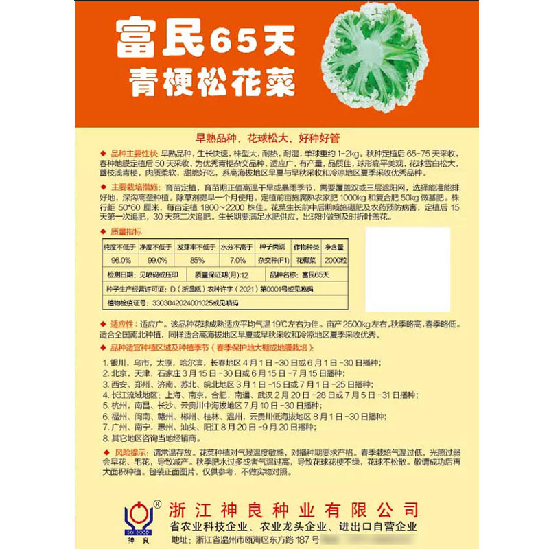 富民65天青梗松花菜种子2000粒花球松大耐热耐湿