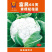 富民65天青梗松花菜种子2000粒花球松大耐热耐湿