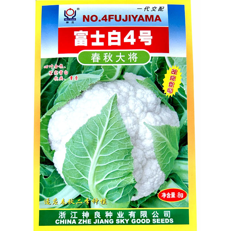 富士白4号春秋大将花椰菜种子花菜种子紧实雪白抗病