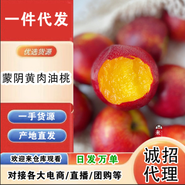 蒙阴黄肉油桃一件代发产地直发一手货源对接各大电商平台