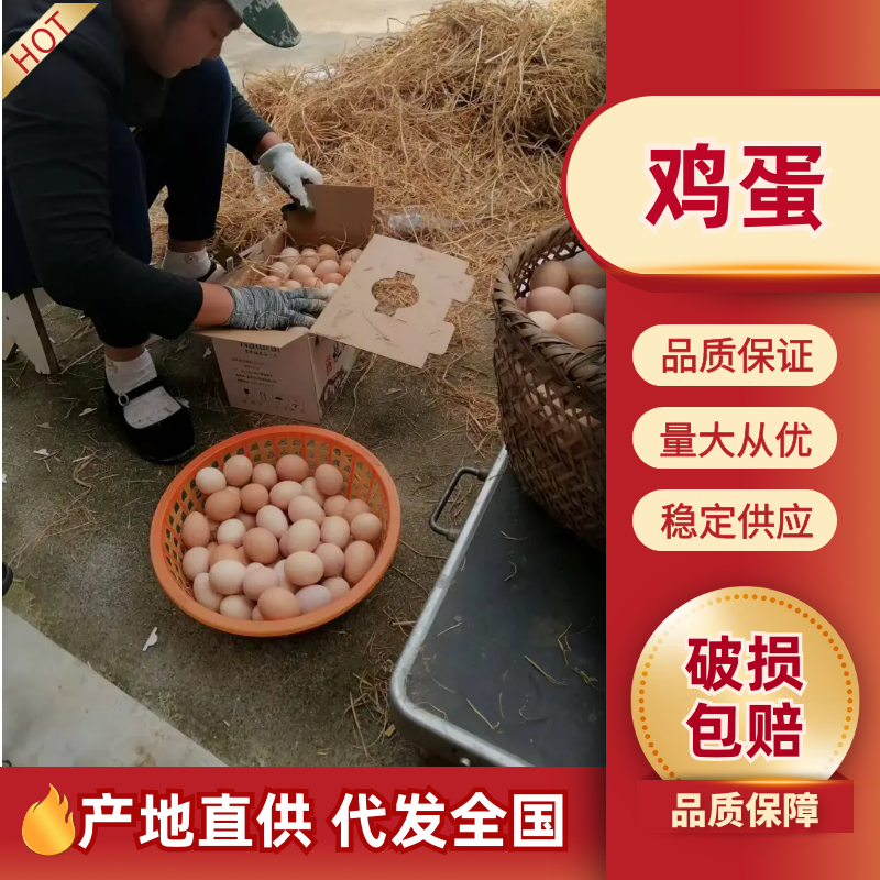 土鸡蛋高山散养跑山鸡基地直供无激素量大优惠