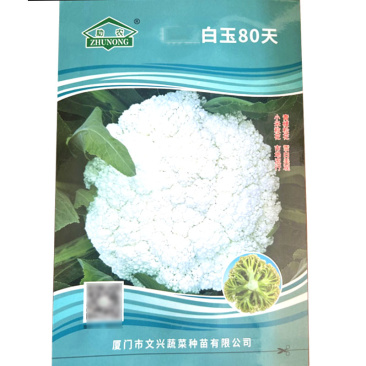 白玉80天青梗松花菜种子小米粒花雪白美观抗雨耐湿