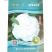白玉80天青梗松花菜种子小米粒花雪白美观抗雨耐湿