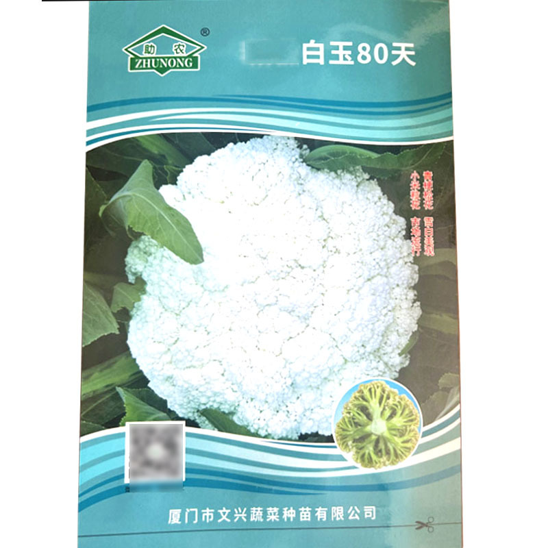 白玉80天青梗松花菜种子小米粒花雪白美观抗雨耐湿