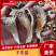 平菇/鲜平菇/基地直供品质优可视频看货基地直供