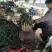 山东精品临沂铁杆大葱万亩基地量大价优质量保证欢迎咨询