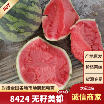 湖北襄阳西瓜8424西瓜大量出售一手货源欢迎咨询