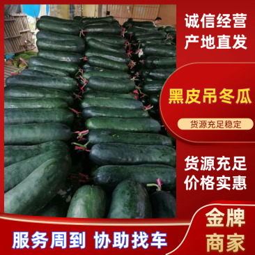 黑皮冬瓜吊冬瓜产地直发对接批发市场商超欢迎来电详谈