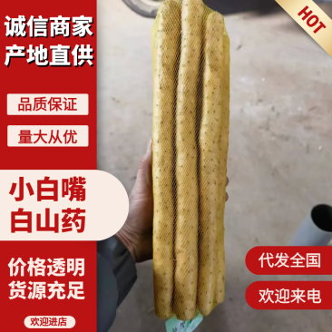 小白嘴山药双棒山药麻山药白玉山药紫药水洗货电商货大量供应
