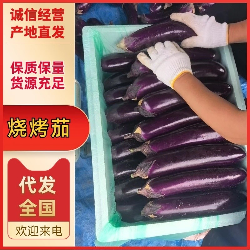 贵州精品烧烤茄。大量供应。支持各种包装，支持市场商超电商